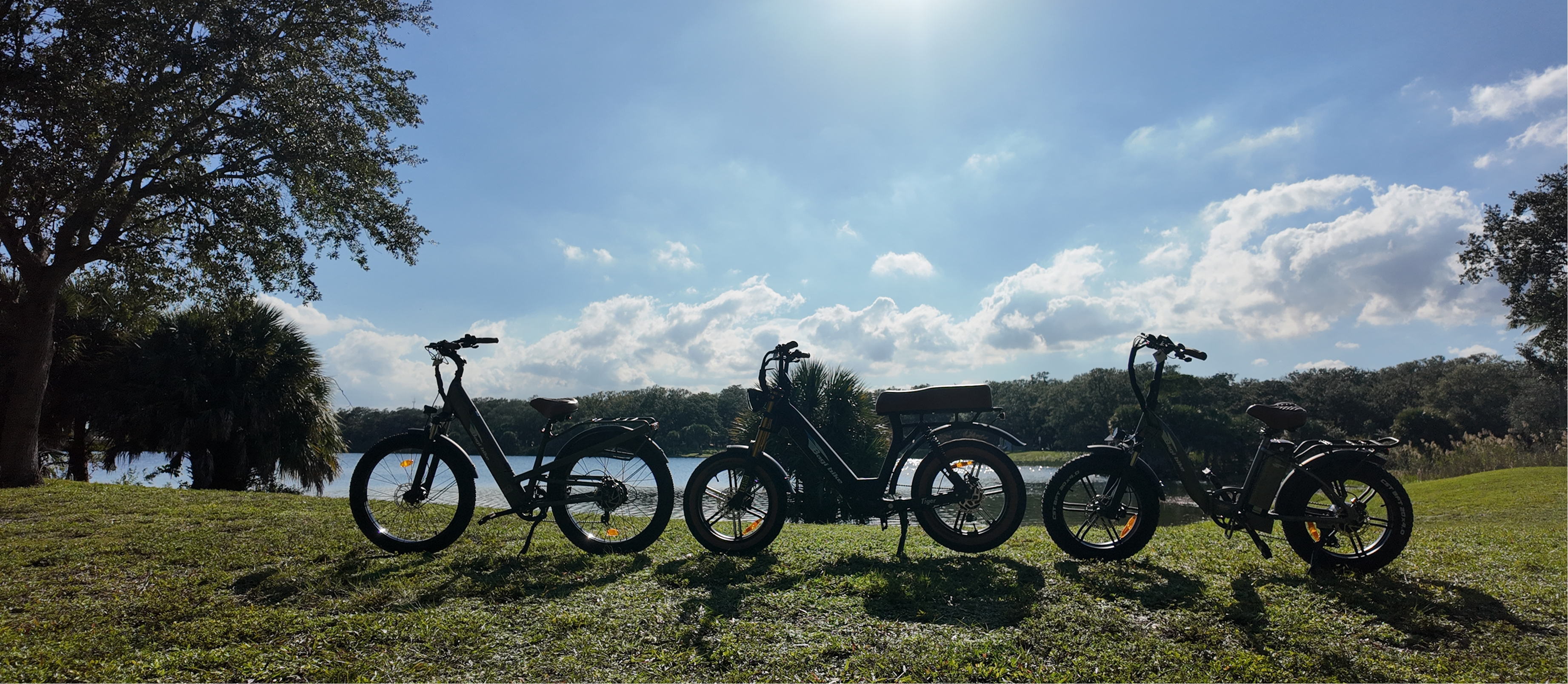 Vride Electric Bike Accessories