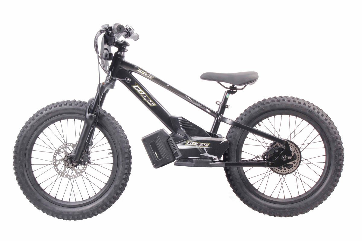 VrideZone 20 Inch Electric Bike for Kids & Teens – For Ages 8–13