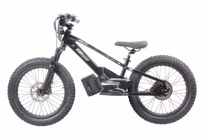 VrideZone 20 Inch Electric Bike for Kids & Teens – For Ages 8–13