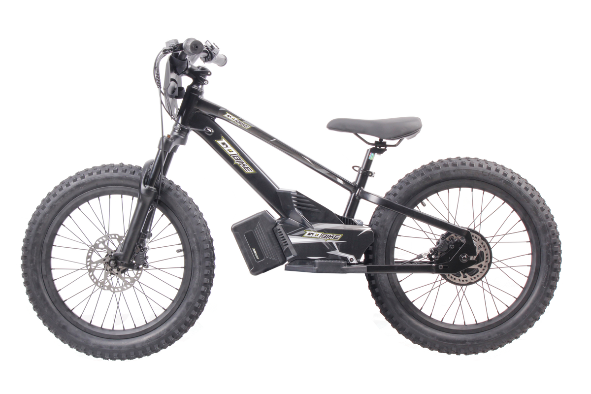 VrideZone 20 Inch Electric Bike for Kids & Teens – For Ages 8–13