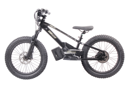 VrideZone 20 Inch Electric Bike for Kids & Teens – For Ages 8–13
