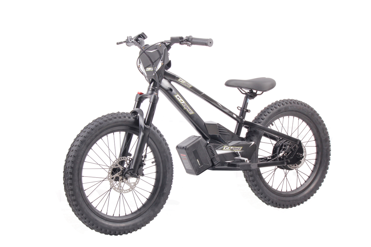 VrideZone 20 Inch Electric Bike for Kids & Teens – For Ages 8–13