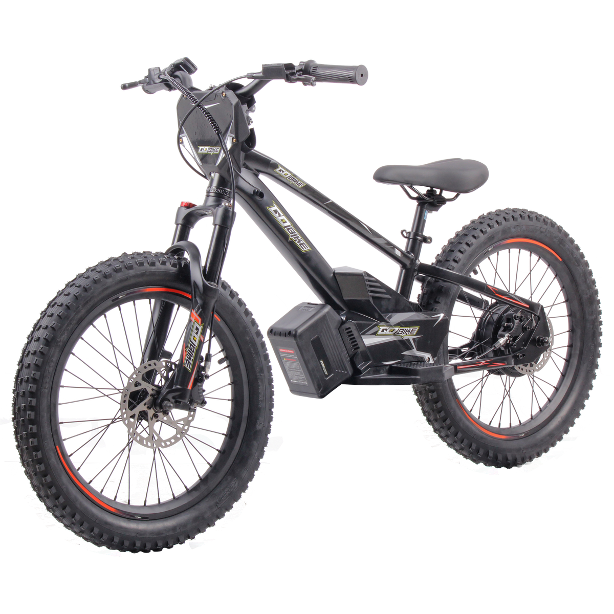 VrideZone 20 Inch Electric Bike for Kids & Teens – For Ages 8–13