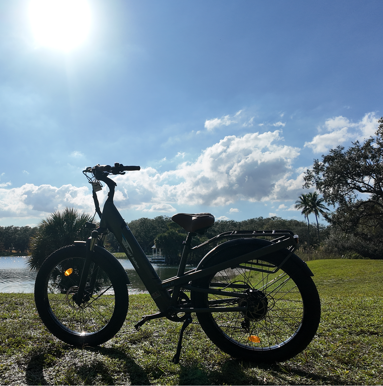 Electric Bike