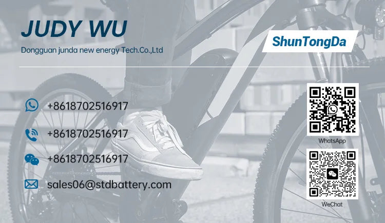 36V 24V Ebike Battery Seat post mounting frog batteria 17.5Ah 14Ah 13Ah 10Ah for Jenney A2B Kuo Magnum 250W 500W Motor batteries