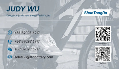 36V 24V Ebike Battery Seat post mounting frog batteria 17.5Ah 14Ah 13Ah 10Ah for Jenney A2B Kuo Magnum 250W 500W Motor batteries
